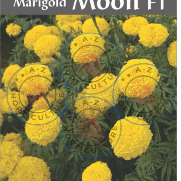 Marigold: Moon F1