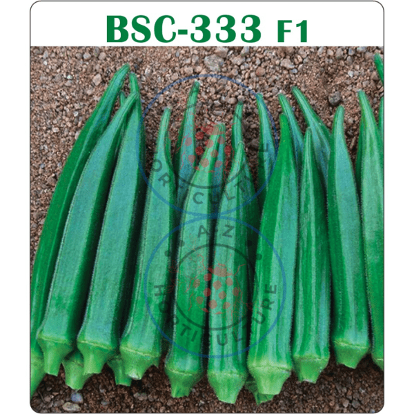 Okra: BSC 333 F1