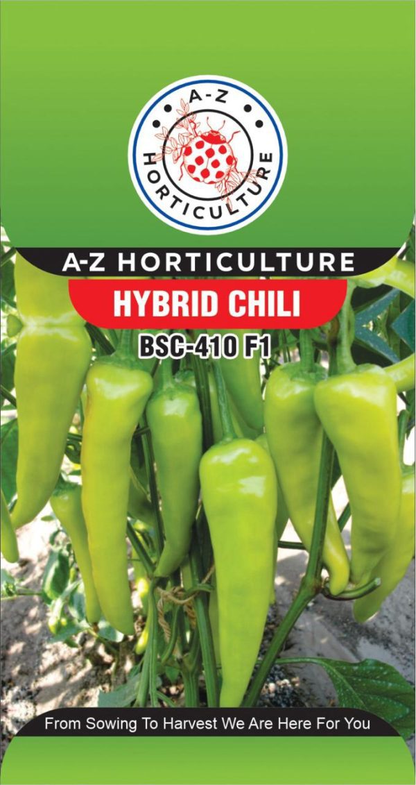 Chilli: BSC 410 F1