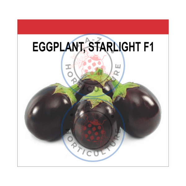 Eggplant: Startlight F1