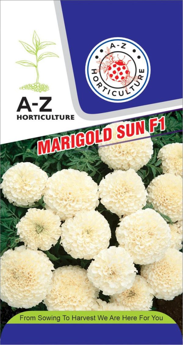 Marigold: Sun F1