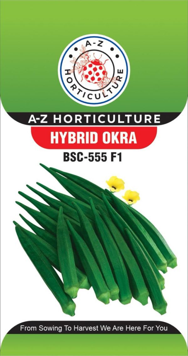 Okra: BSC 555 F1