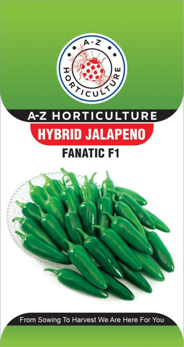 Jalapeno: Fanatic F1